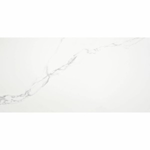Керамограніт Alaplana Pune P.E. Blanco Mate 60x120 см