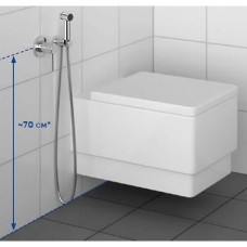Гігієнічний душ Kludi Bozz 389980576 зі змішувачем