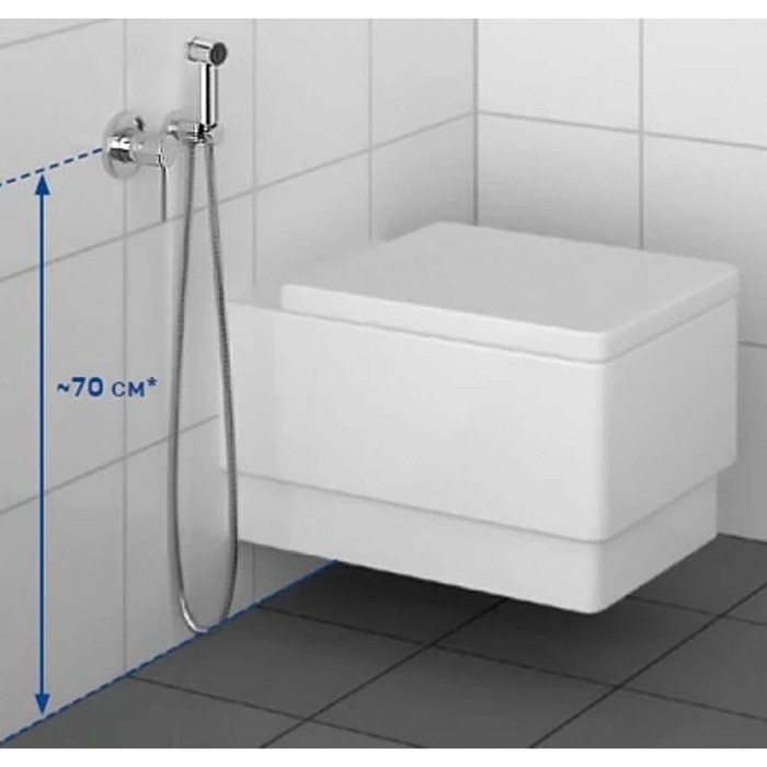 Гігієнічний душ Kludi Bozz 389980576 зі змішувачем Гігієнічний душ Kludi Bozz 389980576 зі змішувачем