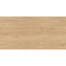 Керамограніт Almera Ceramica-2 Holly Wood PF61216AJ Wooden 60x120 см