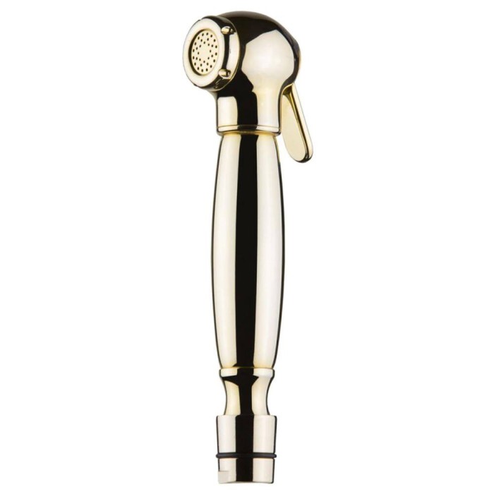 Гигиенический душ Devit Charlestone DS017G