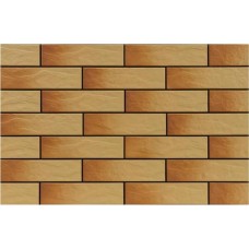 Клінкер Cerrad Gobi Rustico 6,5x24,5 см