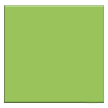 Керамограніт Almera Ceramica Rainbow Gmm40160P Green 60x60 см