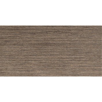 Керамограніт Lasselsberger Rako Defile Daase362 Kalibrovane 29,5x59,5 см