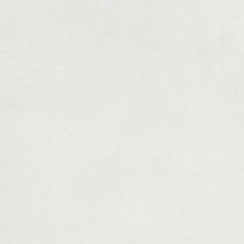 Керамограніт Lasselsberger Rako Extra Dar63722 White 59,8x59,8 см