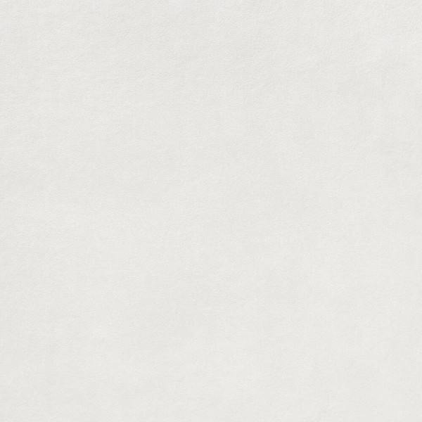 Керамогранит Lasselsberger Rako Extra DAR63722 white 10×598×598 под бетон