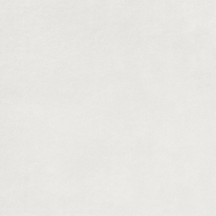 Керамогранит Lasselsberger Rako Extra DAR63722 white 10×598×598 под бетон