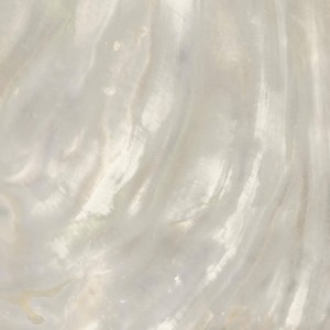 Керамограніт Roberto Cavalli Bright Pearl 0531347/P Bright P.Ivory Ret 80x80 см