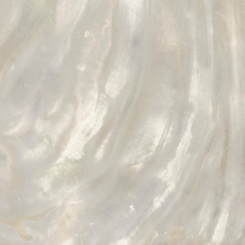 Керамограніт Roberto Cavalli Bright Pearl 0531347/P Bright P.Ivory Ret 80x80 см