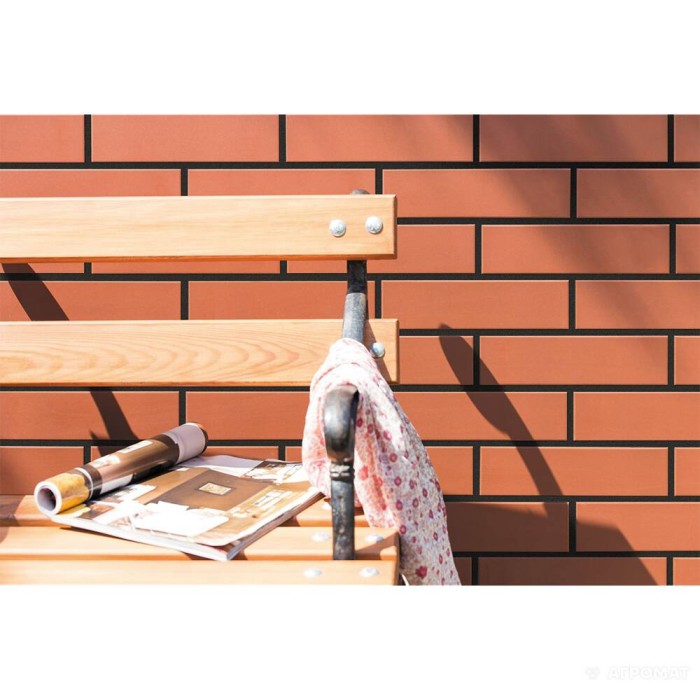 Клинкер Cerrad Rot 6×245×65 Клинкер Cerrad Rot 6×245×65