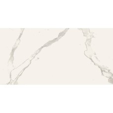 Керамограніт Almera Ceramica Carrara Gqw8321M Mat 60x120 см