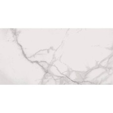 Керамограніт Flaviker Supreme SP6110P Sp.Royal Stat.Ant. 60x120 см