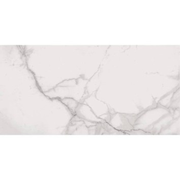 Керамограніт Flaviker Supreme SP6110P Sp.Royal Stat.Ant. 60x120 см