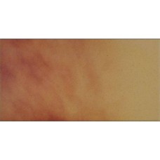 Клінкер Cerrad Podloga Lisc Jesienny 30x14,8 см