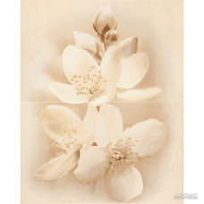 Декор Cersanit Diana Dec Flower 50x40 см