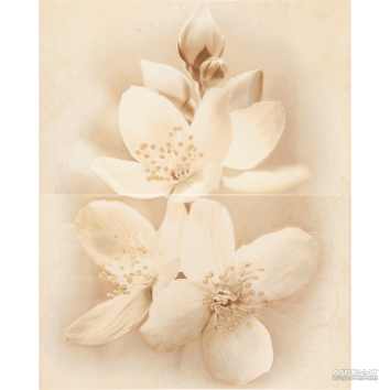 Декор Cersanit Diana Dec Flower 50x40 см
