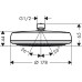 Верхний душ Hansgrohe Crometta 160 26577000
