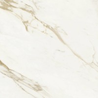 Керамограніт Baldocer Adaggio Gold Pulido 120x120 см
