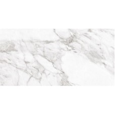 Керамограніт Argenta Ceramica Carrara White Shine 30x60 см