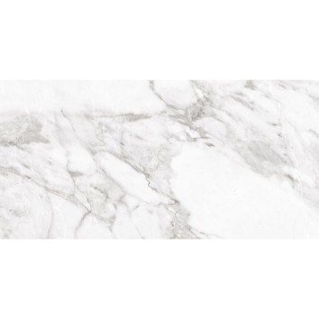 Керамограніт Argenta Ceramica Carrara White Shine 30x60 см