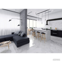 Керамограніт Argenta Carrara White Shine 60x60 см