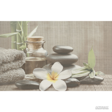 Плитка Cersanit Olivia DEC GREY SPA1 8×400×250 для ванной и кухни