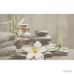 Плитка Cersanit Olivia DEC GREY SPA1 8×400×250