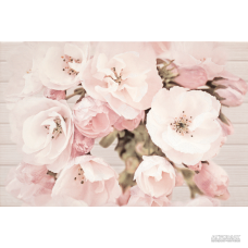 Рушникосушка 300х620 Onyx S 1K WS HYBRO