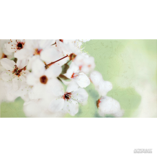 Плитка Opoczno Early Spring PANNO FLOWER декор2 10×600×594