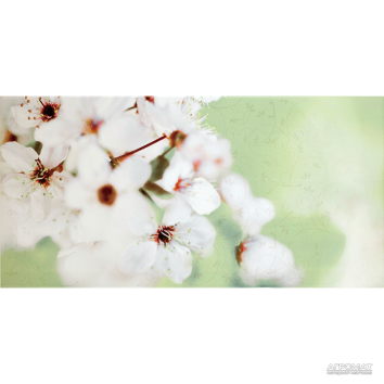 Плитка Opoczno Early Spring PANNO FLOWER декор2 10×600×594