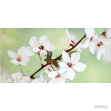 Плитка Opoczno Early Spring PANNO FLOWER декор2 10×600×594