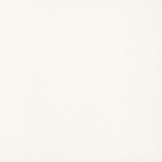 Плитка підлогова Gammo Білий SZKL MAT 19,8x19,8 код 2533 Ceramika Paradyz