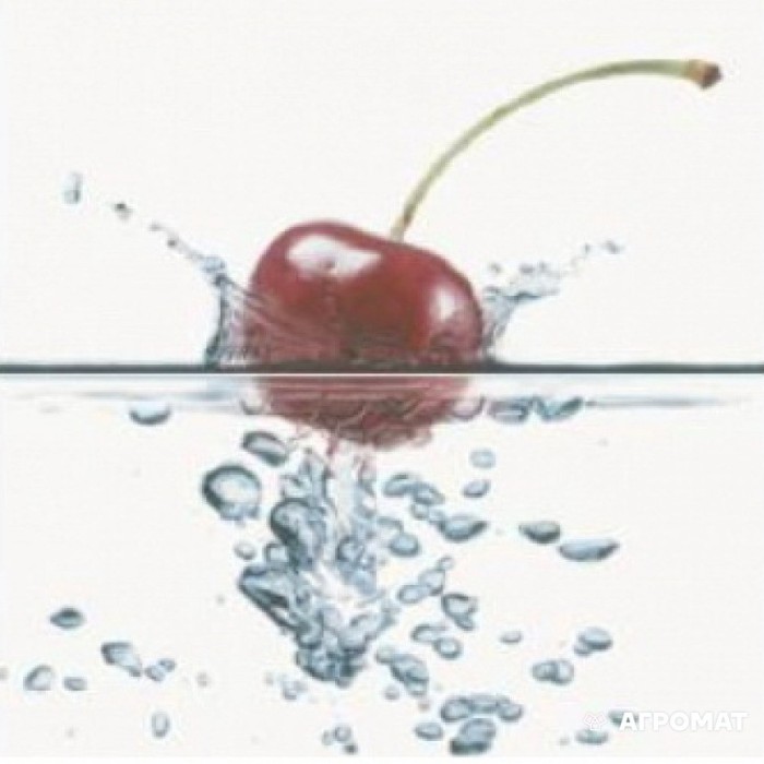 Плитка Opoczno Water Sparkles INSERTO CHERRY декор2 9×600×594