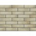 Клинкер ELEWACJA RETRO BRICK SALT 8×245×65