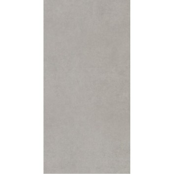 Плитка керамогранітна Intero Silver RECT 298x598x9 Paradyz