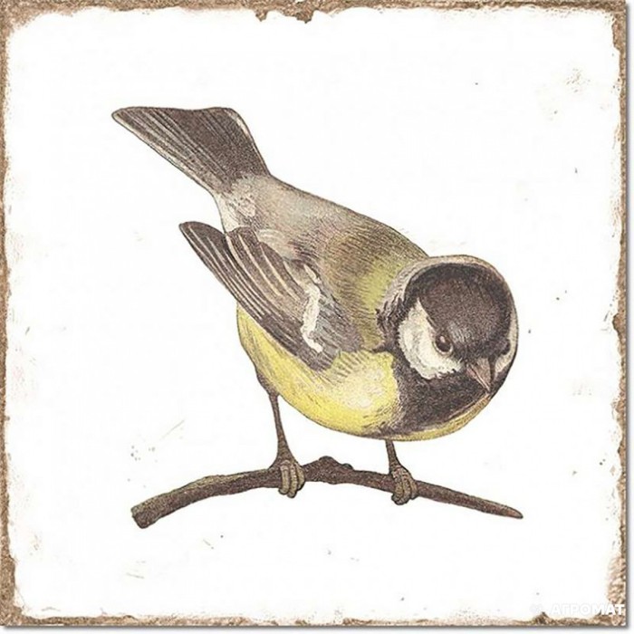 Плитка Fabresa Forli DECOR BIRDS 7×150×150 Плитка Fabresa Forli DECOR BIRDS 7×150×150