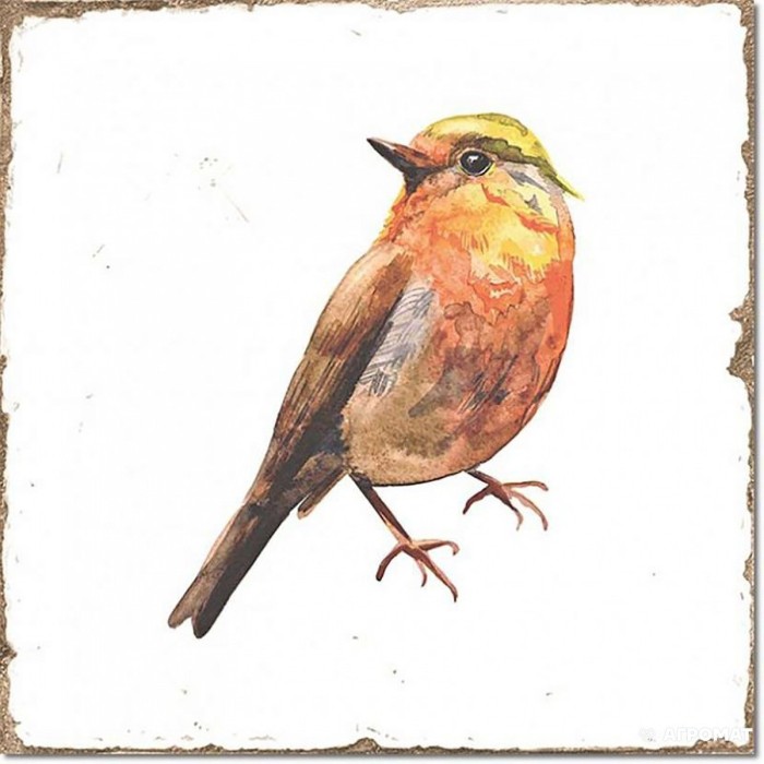 Плитка Fabresa Forli DECOR BIRDS 7×150×150 Плитка Fabresa Forli DECOR BIRDS 7×150×150
