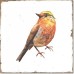 Плитка Fabresa Forli DECOR BIRDS 7×150×150 Плитка Fabresa Forli DECOR BIRDS 7×150×150