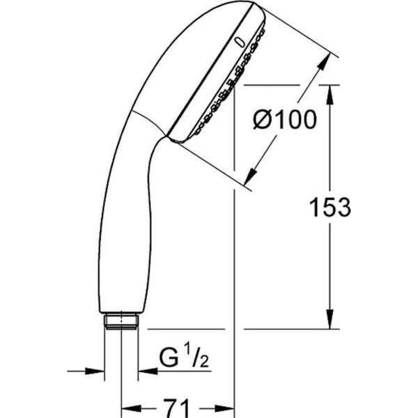Grohe New Tempesta 100 Ручной душ 28261002