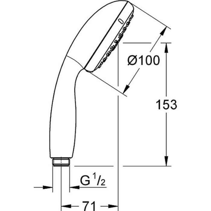 Grohe New Tempesta 100 Ручной душ 28261002