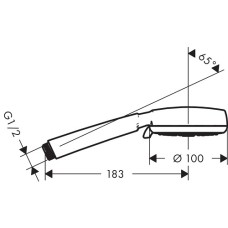 Ручной душ Hansgrohe Crometta 100 26824400