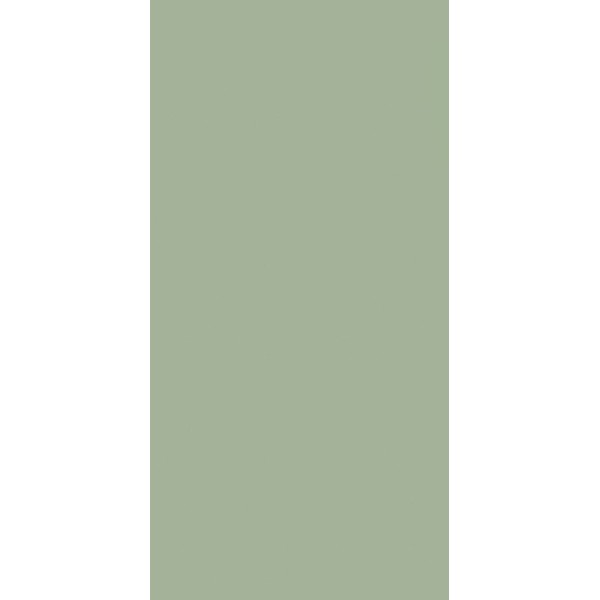 Плитка Paradyz FEELINGS GREEN ŚCIANA REKT. 29,8X59,8 G1