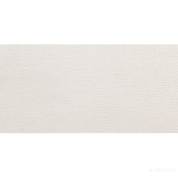 Плитка Argenta Toulouse WHITE 9×500×250