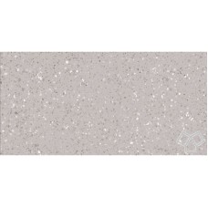 Керамограніт Lasselsberger Rako Porfido DASV1811 Grey 59,8x119,8 см