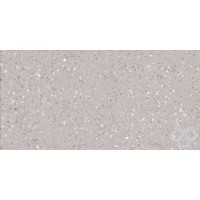 Керамограніт Lasselsberger Rako Porfido DASV1811 Grey 59,8x119,8 см