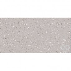 Керамограніт Lasselsberger Rako Porfido DASV1811 Grey 59,8x119,8 см