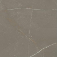 Плитка керамогранітна Linearstone Taupe RECT 598x598x9 Paradyz