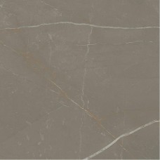 Плитка керамогранітна Linearstone Taupe RECT 598x598x9 Paradyz