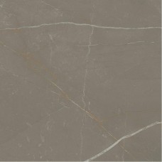 Плитка керамогранітна Linearstone Taupe RECT 598x598x9 Paradyz