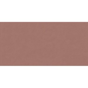 Плитка Abk 0008237 Wide&Style Mini Paprika Ret 59,6x119,4 см